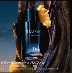 Dior Sauvage Eau de Parfum 100ml