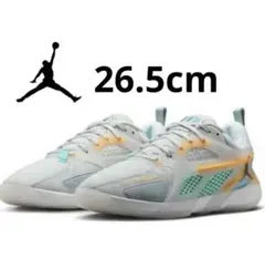 JORDAN ウィメンズ ジョーダン バスケットボール FZ2473-004