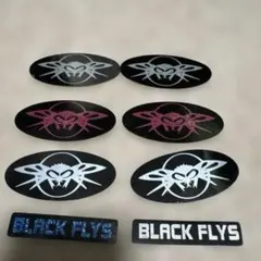 2025年最新】BLACK flys ステッカーの人気アイテム - メルカリ