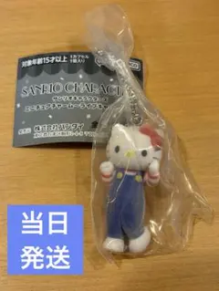 サンリオキャラクターズ ミニチュアチャーム ライブキャラクター キティ