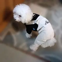 犬服 小型犬用 ワンピースタイプ