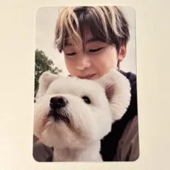 ゼベワン　マシュー　メテュ　レオ　トレカ