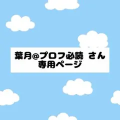 2025年最新】プロフ必読の人気アイテム - メルカリ