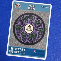 Item thumbnail for item e69c1451-39c8-43b6-ad08-0bd9bbcd0f6c