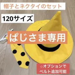 【ぱじさま専用】120