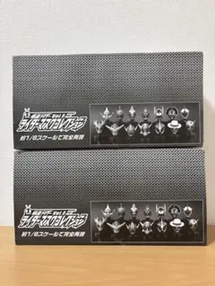 未開封スカーレットex バイオレットex スペシャルセット2カートン