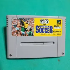 インターナショナルサッカー