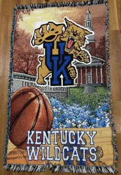 Item thumbnail for item d4f2b2f0-7d0f-4455-a2ba-e867d717c904