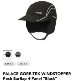 Item thumbnail for item 816d6516-2f3c-42ee-99dd-79782faa34cd