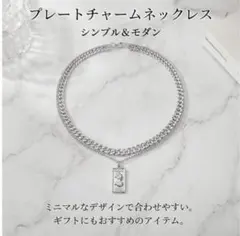 クイーンネックレス コインネックレス 2連ネックレス プレートペンダント
