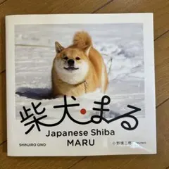 Item thumbnail for item 53c35715-d7c5-4a3d-84a1-f21d8710c2e3