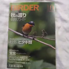 BIRDER 1996年2月号 ワシタカ類特集 バードウォッチング - メルカリ