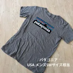 【USA】Patagonia Tシャツ グレーのサムネイル