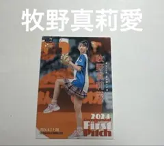 Item thumbnail for item d496de7e-4751-4a81-bb51-efa3b5ac3c3b