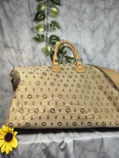 Item thumbnail for item 51d4c245-c4dc-4433-b22e-b43adf61759d