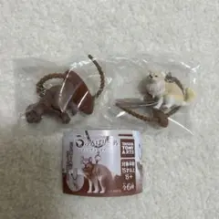 ふんばりーぬ　トイプードル　チワワ（クリーム）