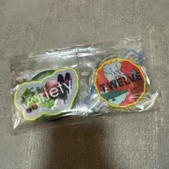 Mrs. GREEN APPLE　ワッペン　10種