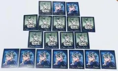 悪魔執事と黒い猫　あくねこ　ぱしゃこれプレミアム　ナック