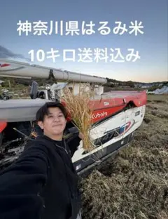 【農家直送】神奈川県産 はるみ 精米10kg｜注文後精米・新鮮発送のサムネイル