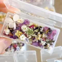 ドライフラワー詰め合わせ（パープル系）