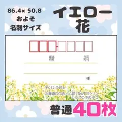 Item thumbnail for item 09a32b0a-372a-4a14-879a-a0de6e56c37a