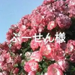 ぷーせん様