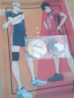ハイキュー!! クリアファイルとバッジセット