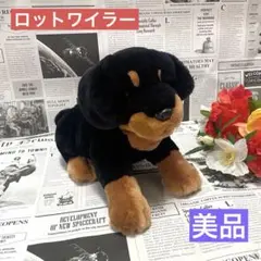 レア レガロ REGALO ダックスフンド 犬 ぬいぐるみ まとめ売り - メルカリ