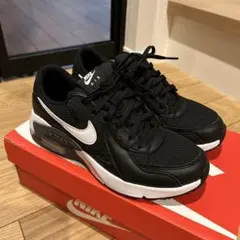 Nike Air Max ブラック スニーカー
