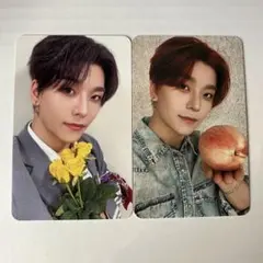 シンロン タレントカード