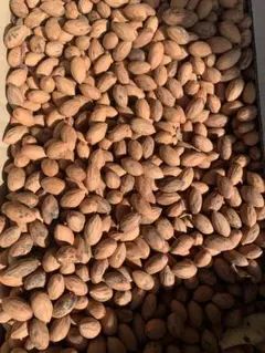 ka to様 リクエスト 3点 まとめ商品