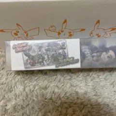 ポケモンカードゲーム ラバープレイマット　HISUIDAYS
