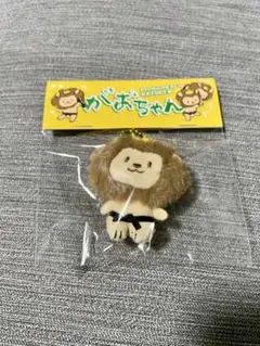 がおちゃん　Tシャツ 武知海青　Ｓサイズ 予約商品】武知海青 がおちゃんポケットTシャツ | DDT ONLINE STORE