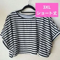 白黒ストライプ クロップドTシャツ