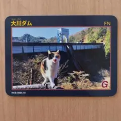 ダムカード 　香川県大川ダムのサムネイル