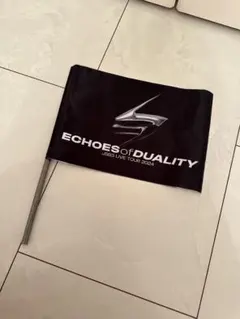三代目ECHOES of DUALITY LIVE TOUR 2024 フラッグ