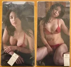 Item thumbnail for item 988f6348-46ef-45ba-9b62-10c2f8ea355b