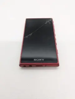 極美品 SONY ウォークマン NW-A50シリーズ 純正イヤホン・充電ケーブル