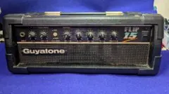 2026年最新】guyatone キャビネットの人気アイテム - メルカリ