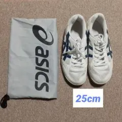ASICS アシックス 体育館シューズ 25.0cm / 巾着 収納袋 セット
