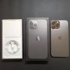 Apple iPhone 13ProMax 1TB本体