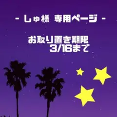 【しゅ様専用ページ】