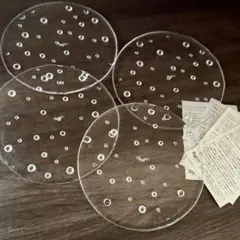 2025年最新】Sghr ドロップの人気アイテム - メルカリ