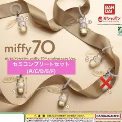 めじるしアクセサリー miffy 70th anniversary Ver 5点