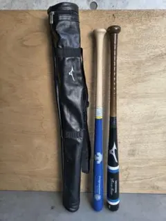 野球トレーニングバット 2本とバットケースセット Mizuno DESCENTEのサムネイル