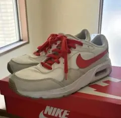 NIKE AirMax /オレンジレッド 27cm cityboy