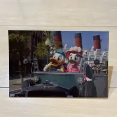 東京ディズニーリゾート ドナルド デイジー ポストカード