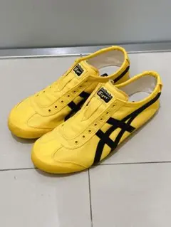 mexico66