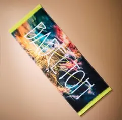 Item thumbnail for item d37a540e-1c50-4eba-bf52-3bf10567161e