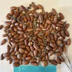 Item thumbnail for item 13be60ea-f59d-40b2-9162-8bd08ab33b08